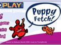 Puppy Fetch