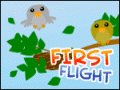 İlk Uçuş