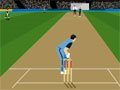 Master Kriket Oyunu